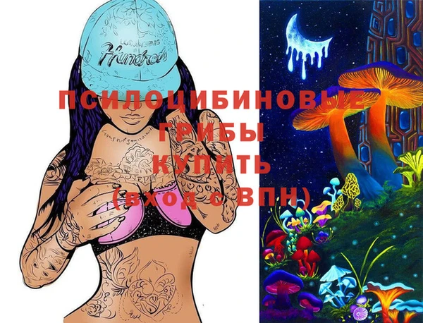 дурь Новокубанск