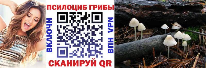 где купить наркоту  KRAKEN tor  Галлюциногенные грибы Psilocybine cubensis  Петров Вал 